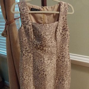 Jones NY leopard print shift dress sz 8